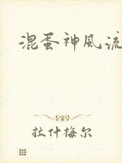 混蛋神风流