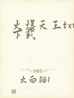 火爆天王txt下载