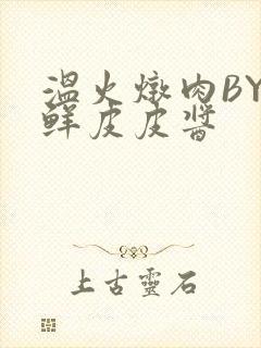 温火炖肉BY海鲜皮皮酱