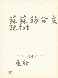 苏苏的公交车日记txt