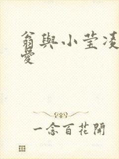 翁与小莹凌晨欢爱