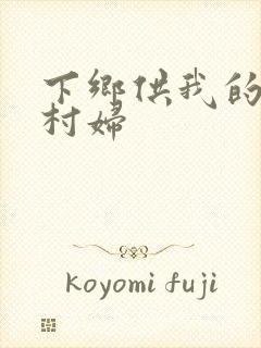 下乡供我的发泄村妇封面