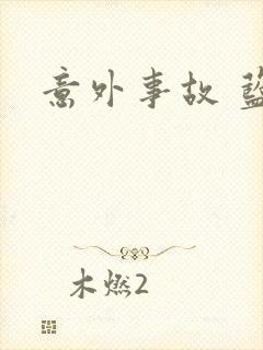 意外事故 蓝淋封面