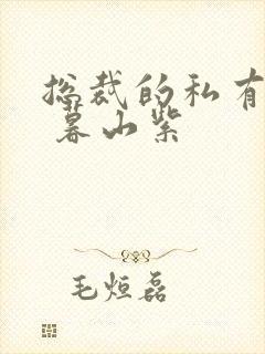 总裁的私有宝贝 暮山紫