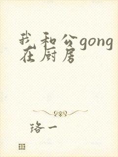 我和公gong在厨房封面