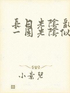 长日光阴 乱作一团光阴似箭封面