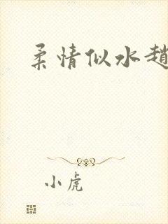 柔情似水赵雅儿