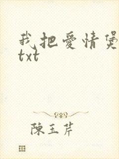 我把爱情煲成汤txt