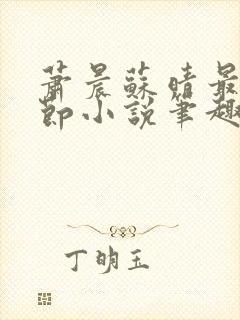 萧晨苏晴最新章节小说笔趣阁