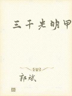 三千光明甲封面