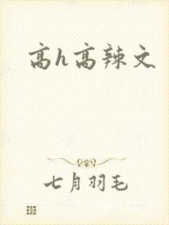高h高辣文