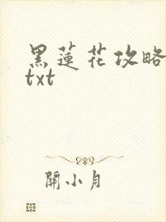 黑莲花攻略手册txt