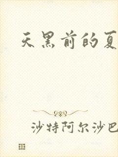 天黑前的夏天