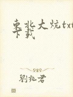 东北大炕txt下载