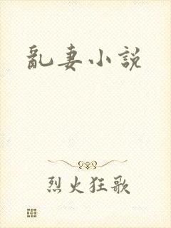 乱妻小说