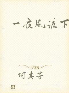 一夜风流下载