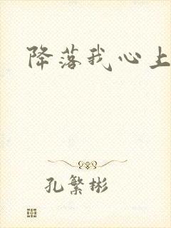 降落我心上封面