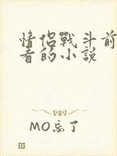 情侣战斗前适合看的小说