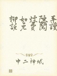 柳如烟陈平安小说免费阅读全文