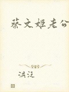 蔡文姬老公封面