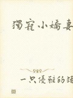 独宠小娇妻