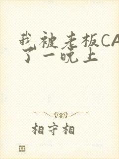 我被老板CAO了一晚上