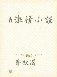 h激情小说
