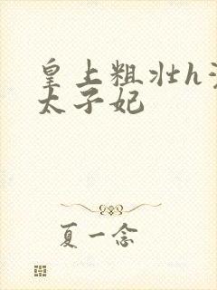 皇上粗壮h灌满太子妃