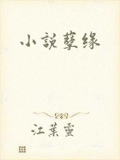 小说孽缘