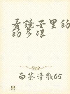 看镜子里的你叫的多浪