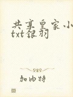 共享皇家小公主txt银羽
