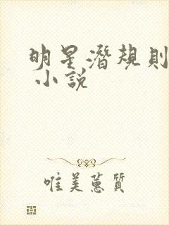 明星潜规则之皇 小说