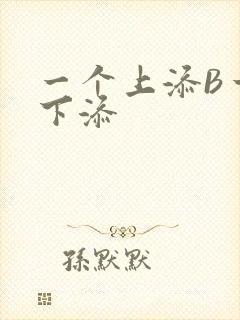 一个上添B一个下添