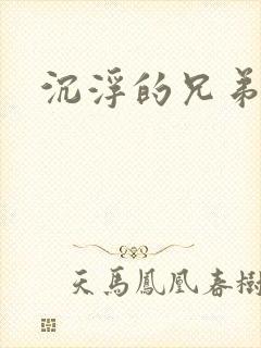 沉浮的兄弟封面