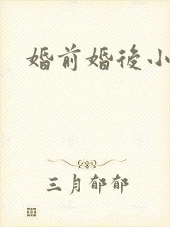 婚前婚后小说
