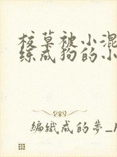 校草被小混混训练成狗的小说封面