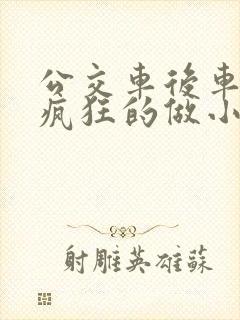 公交车后车座的疯狂的做小