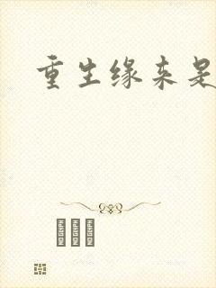 重生缘来是你封面