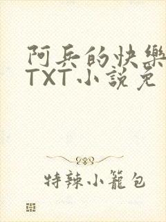 阿兵的快乐生活TXT小说免费阅读全章