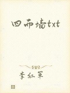 四面墙txt