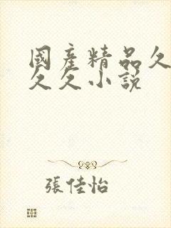 国产精品久久久久久小说封面