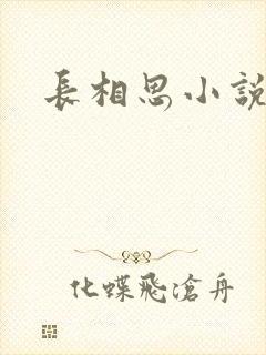 长相思小说原著