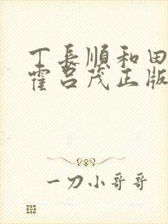 丁长顺和田晓兰霍吕茂正版