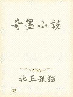 奇墨小说