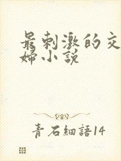 最刺激的交换夫妇小说