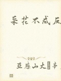 采花不成反被采封面