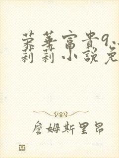 荣华富贵9小王莉莉小说免费阅读