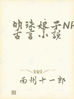 明珠娘子NPC古言小说封面