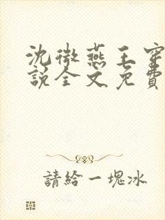 沈微燕王穿越小说全文免费阅读