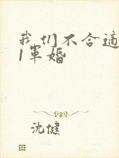 我们不合适1v1军婚